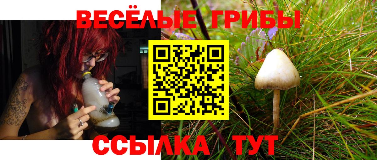 Псилоцибиновые грибы MAGIC MUSHROOMS  Псилоцибиновые грибы мухоморы  Вход с VPN  Киселёвск 